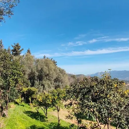 Rez De Villa, Et Sa Terrasse à * Ajaccio (Corsica)