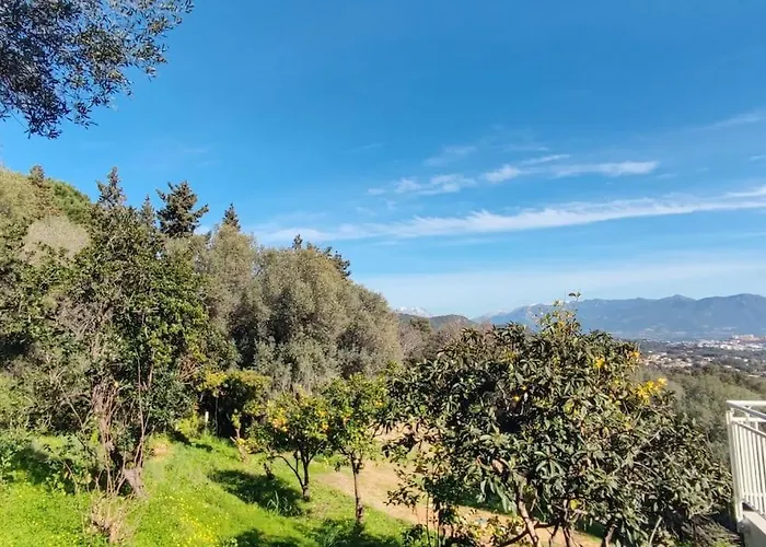 Rez De Villa, Et Sa Terrasse A * 阿雅克肖